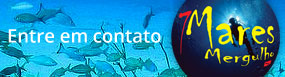 Contato